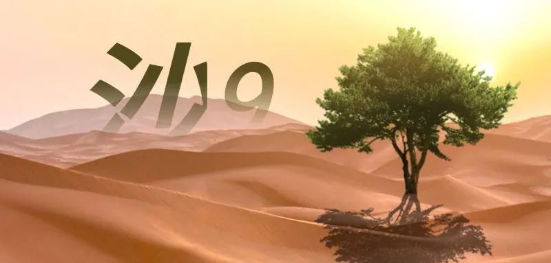 沙9來(lái)了｜70km的騰格里大漠，只有走過(guò)，才是英雄