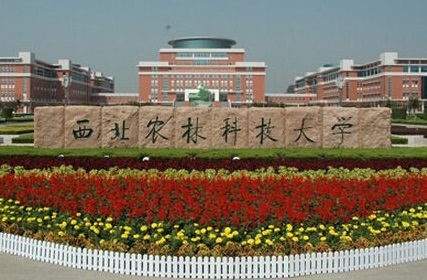 2021年西北農林科技大學MBA學費及學制一覽